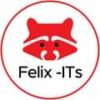 Felix IT System